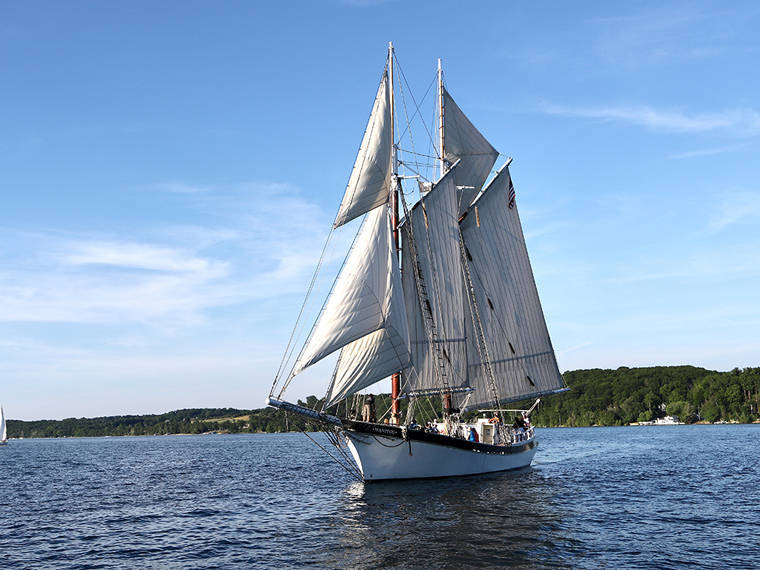 深圳到悉尼 拼柜还差20立方